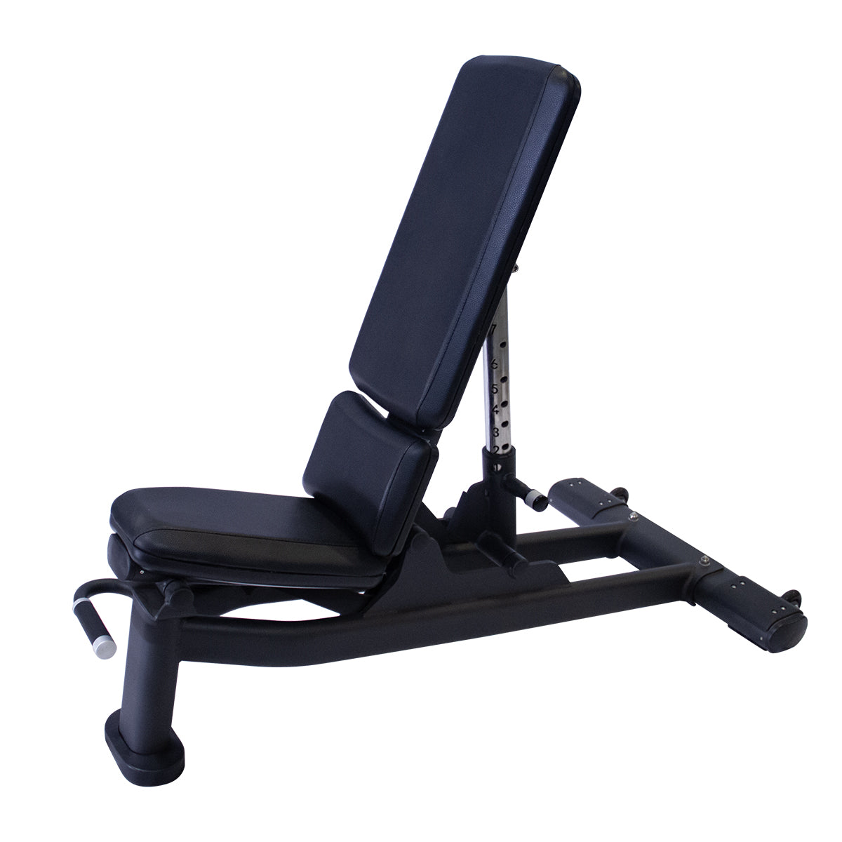 Life fitness signature discount multi adjustable bench